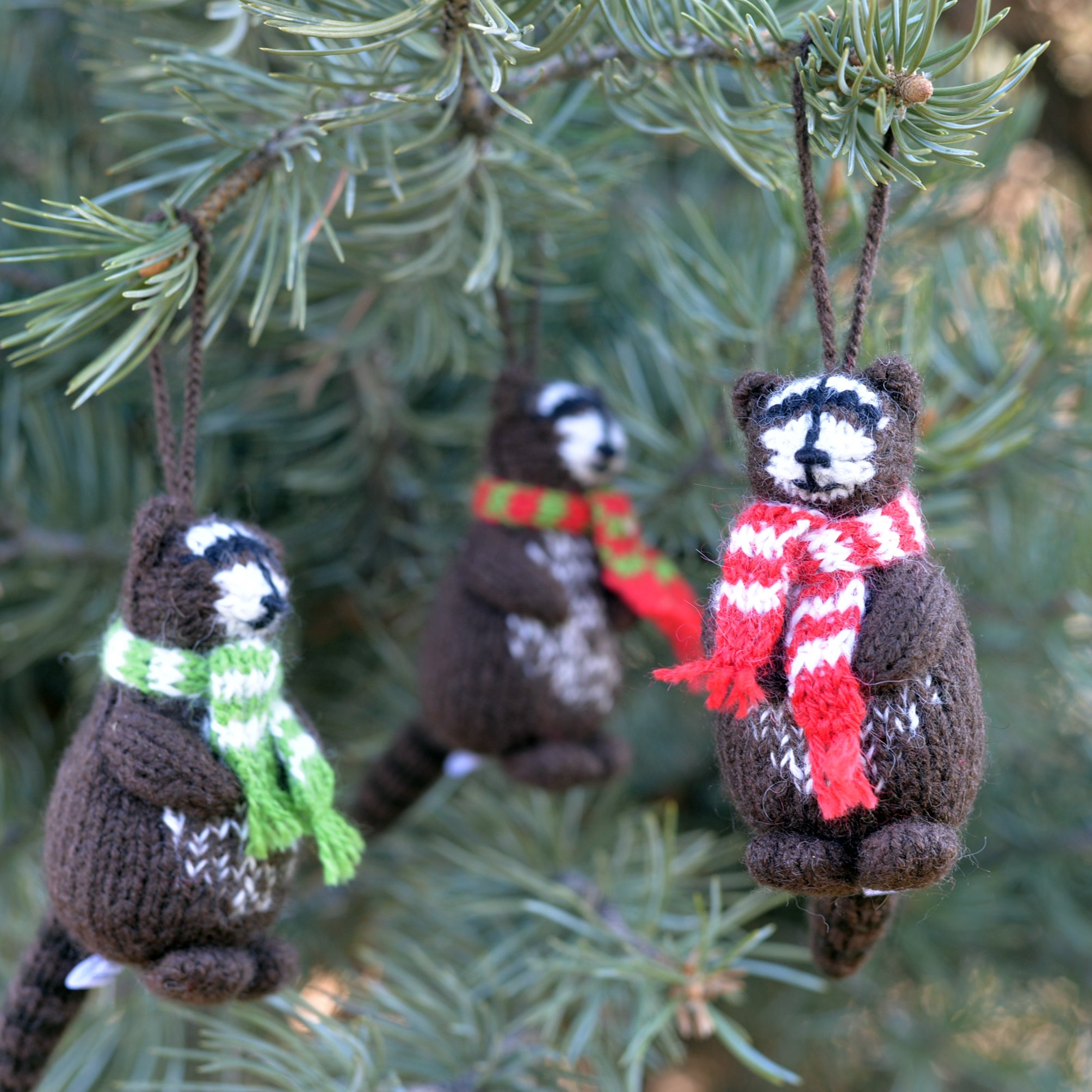 Raccoon Ornaments, Set Of 3