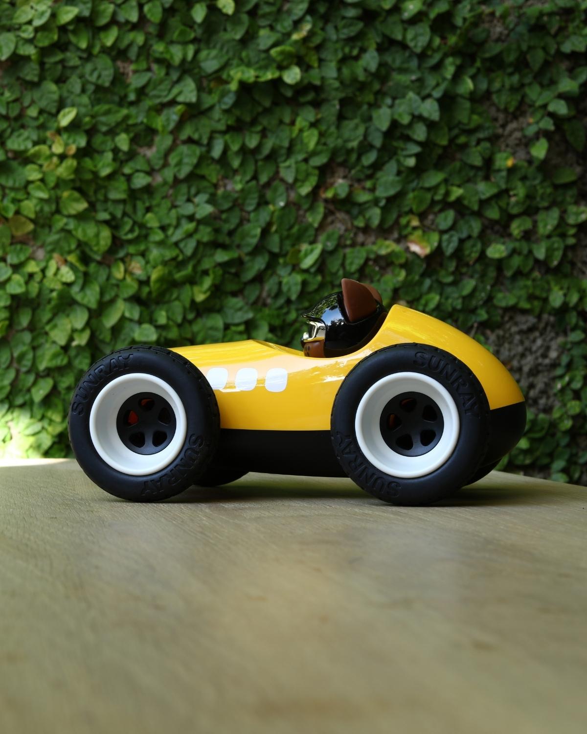 Car Egg Roadster Sunnysider