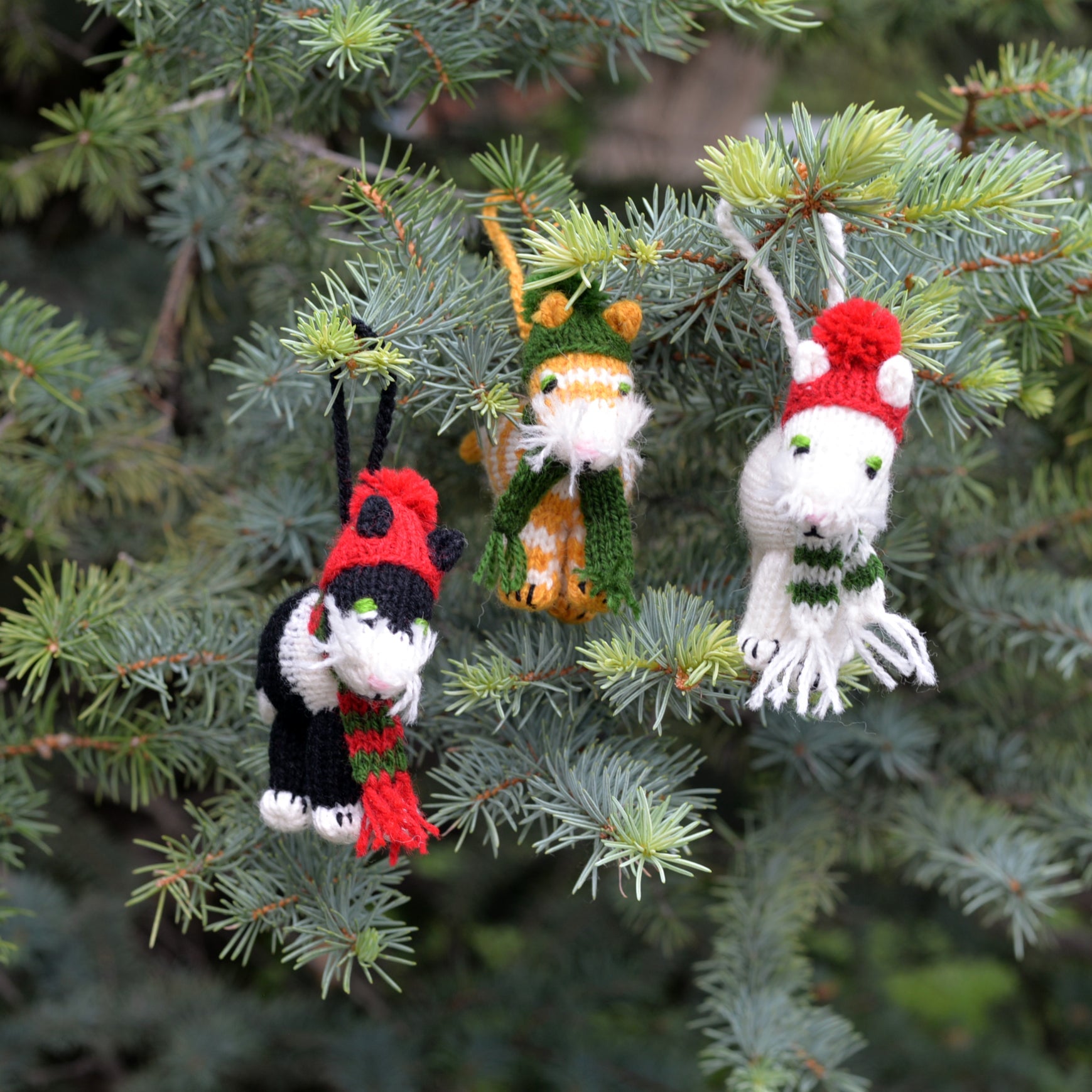 Cat Ornaments, Set Of 6