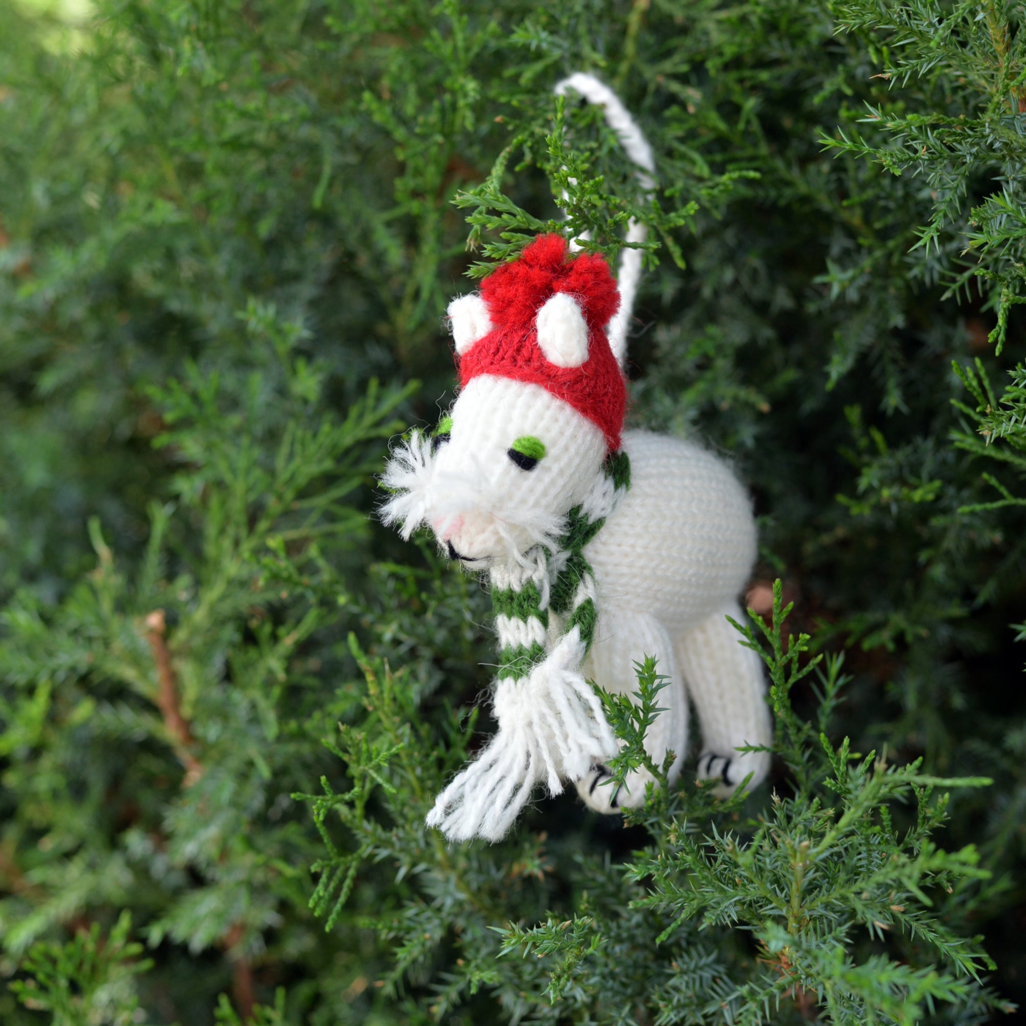 Cat Ornaments, Set Of 6