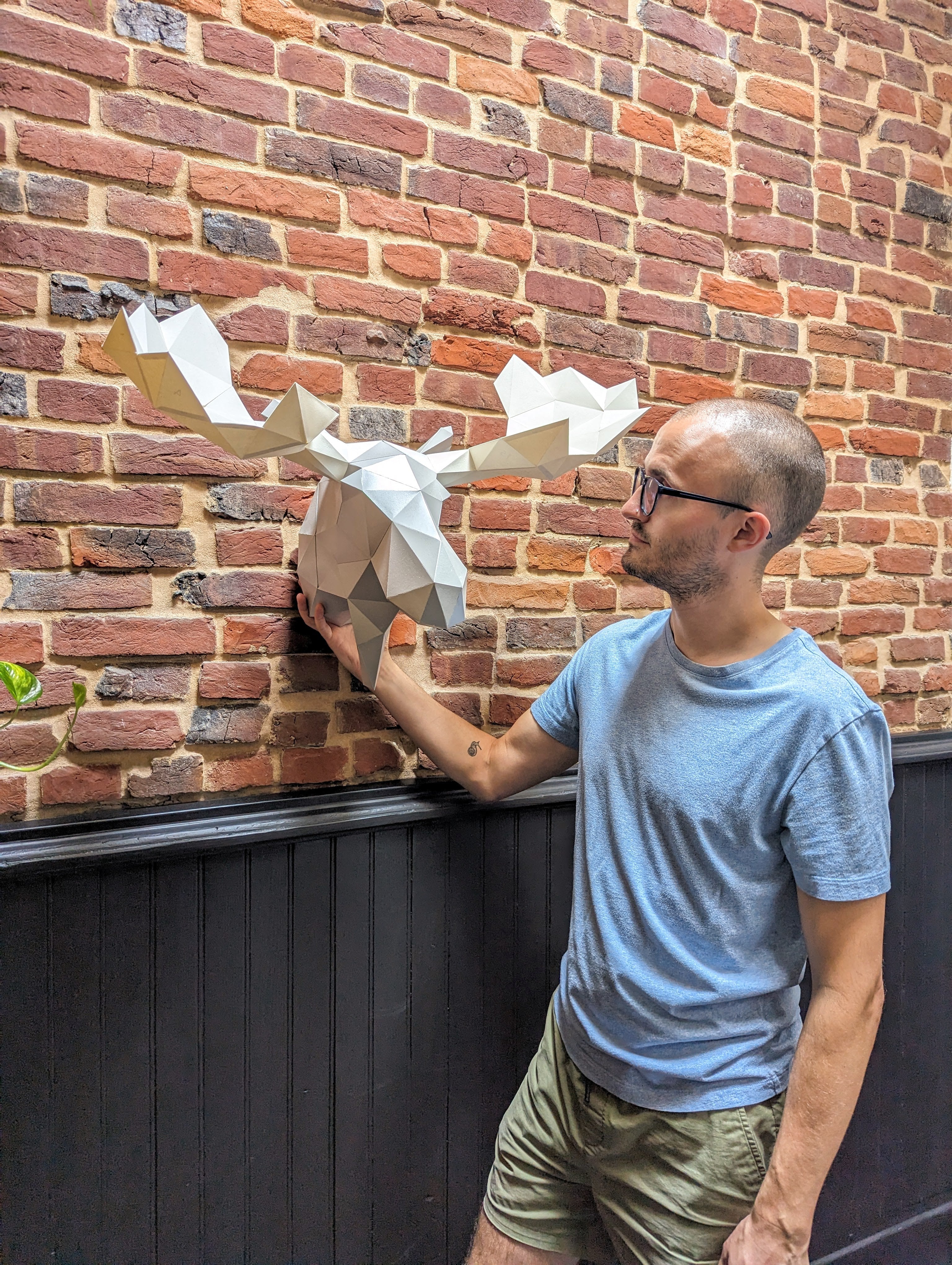 Leonard The Moose | Diy Paper Craft Animal Kit