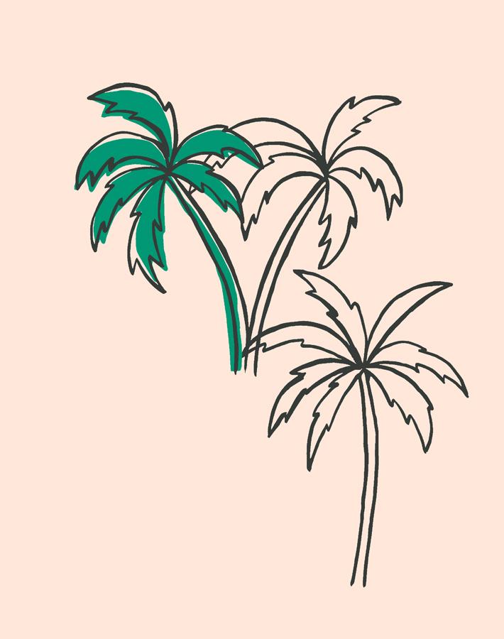 'palms' Wallpaper By Tea Collection - Emerald