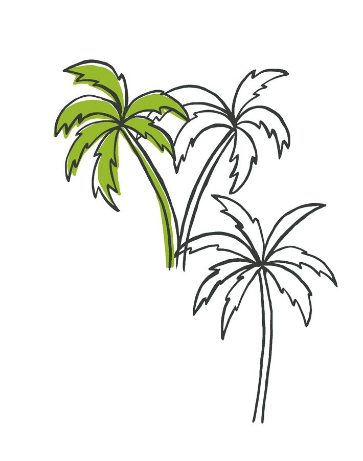 'palms' Wallpaper By Tea Collection - Lime