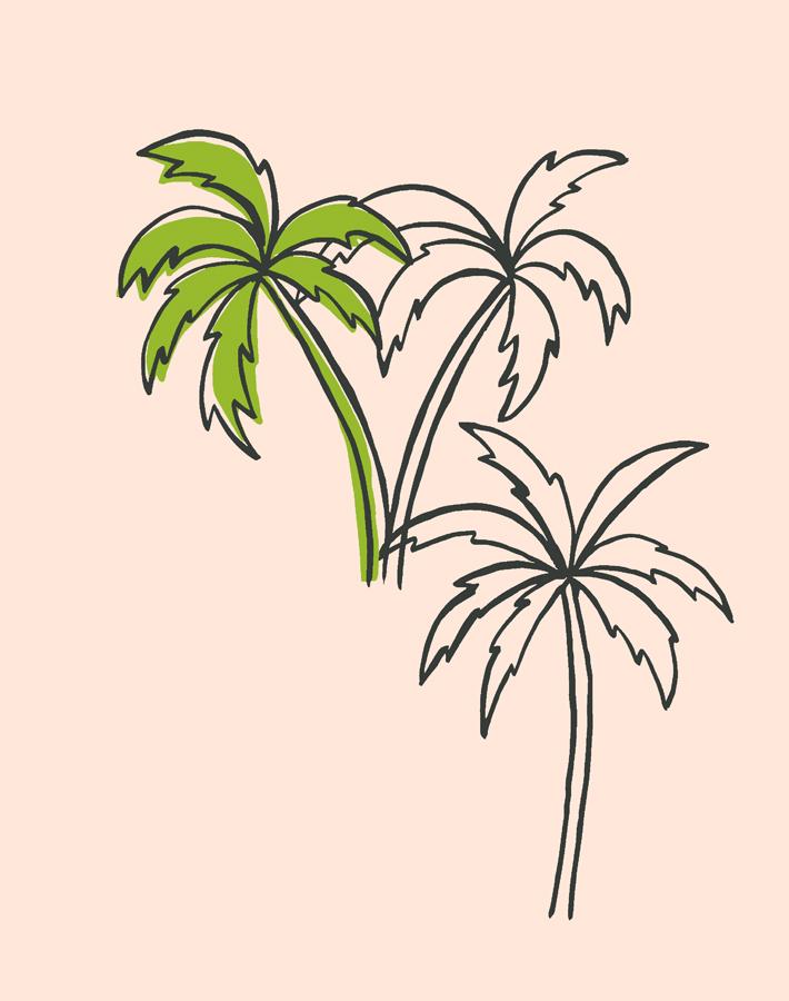 'palms' Wallpaper By Tea Collection - Peach