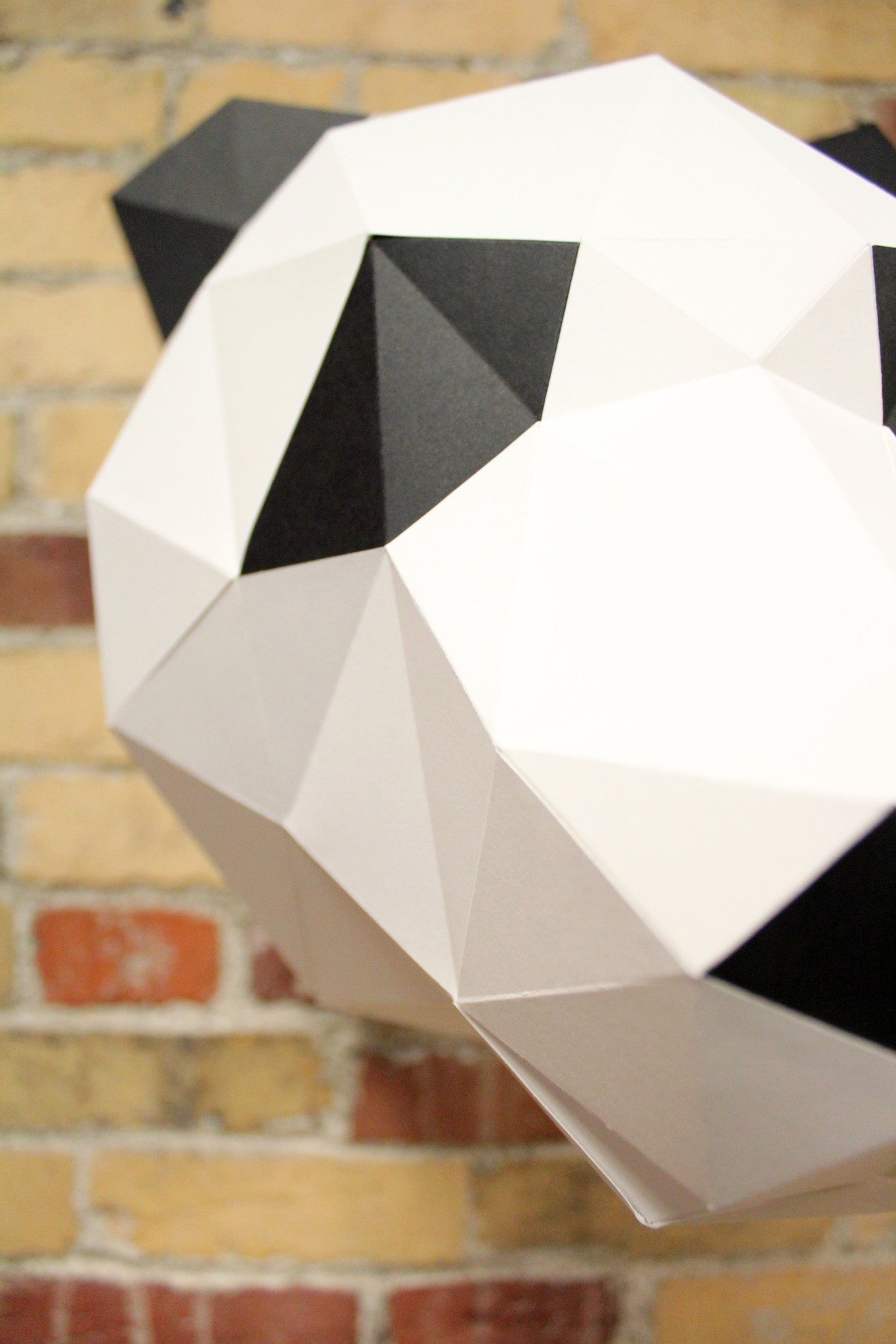 Claire The Panda | Diy Paper Craft Animal Kit