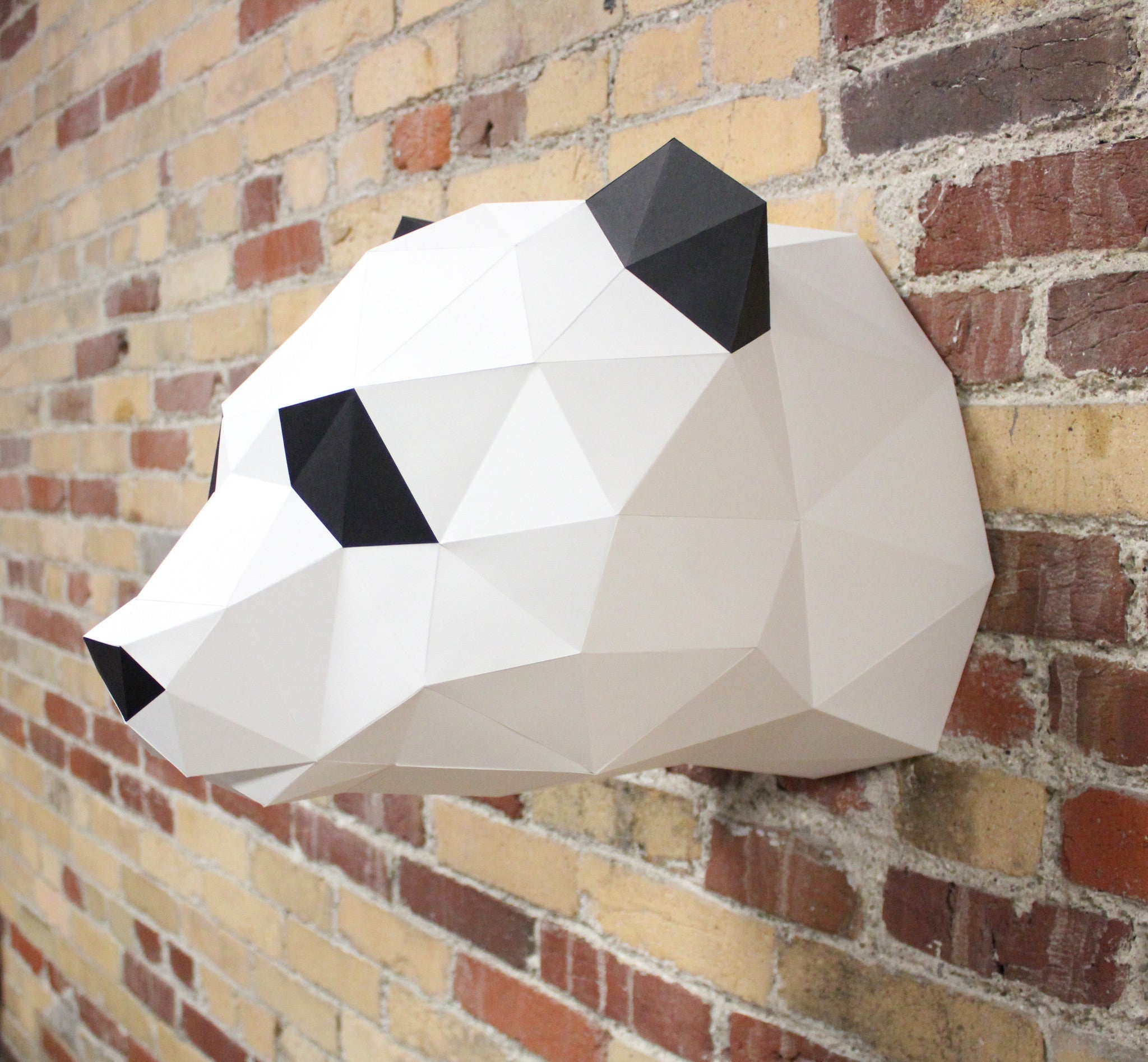 Claire The Panda | Diy Paper Craft Animal Kit