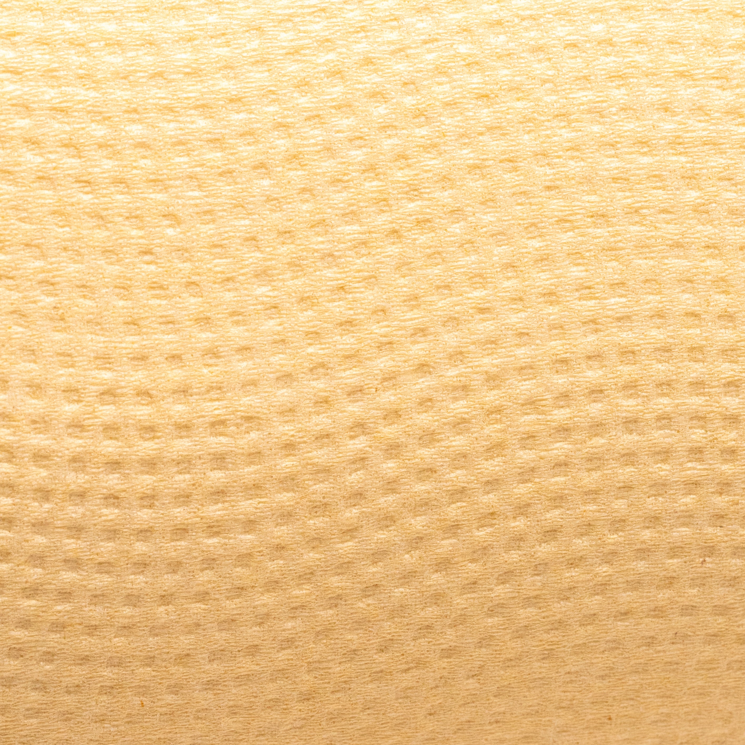 Panda Eco Paper | Bamboo Toilet Paper Sample