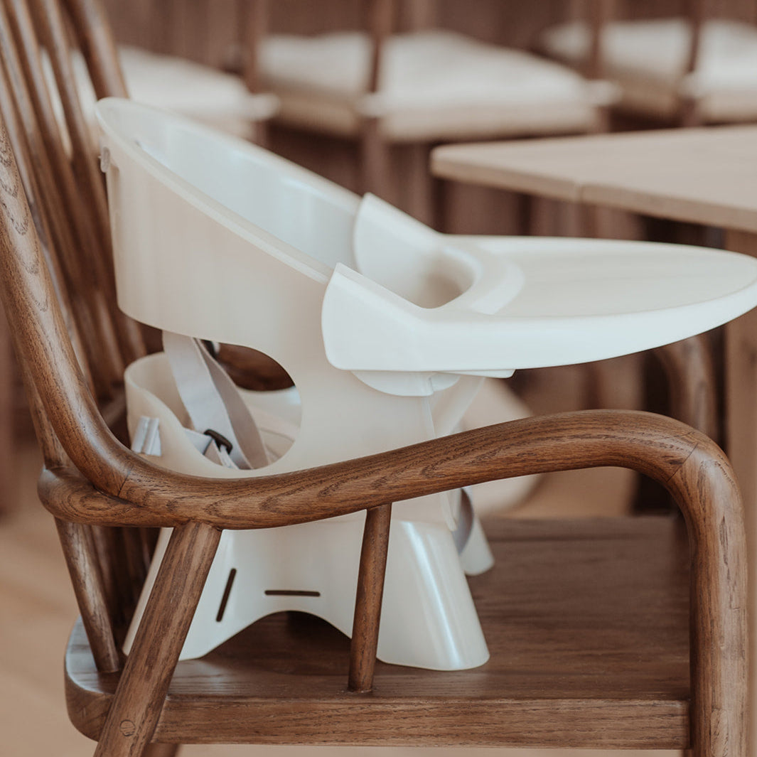 Terra 2-in-1 High Chair & Booster