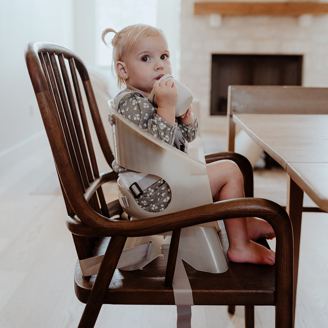 Terra 2-in-1 High Chair & Booster