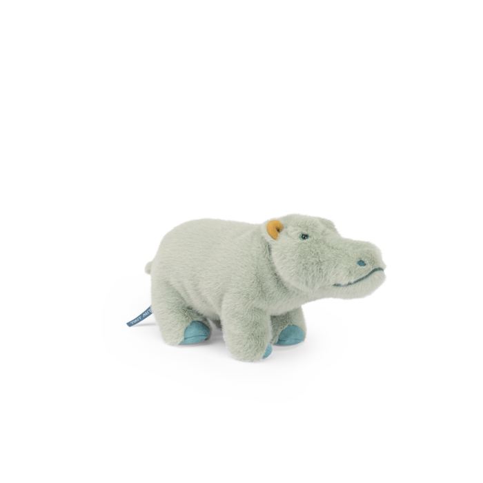 Small Hippopotamus - All Around The World
