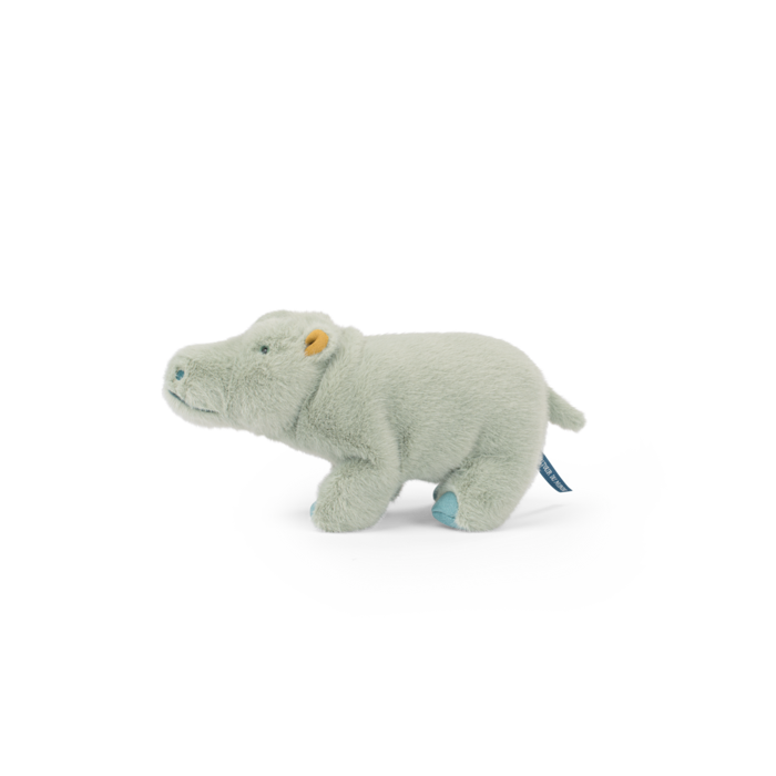 Small Hippopotamus - All Around The World