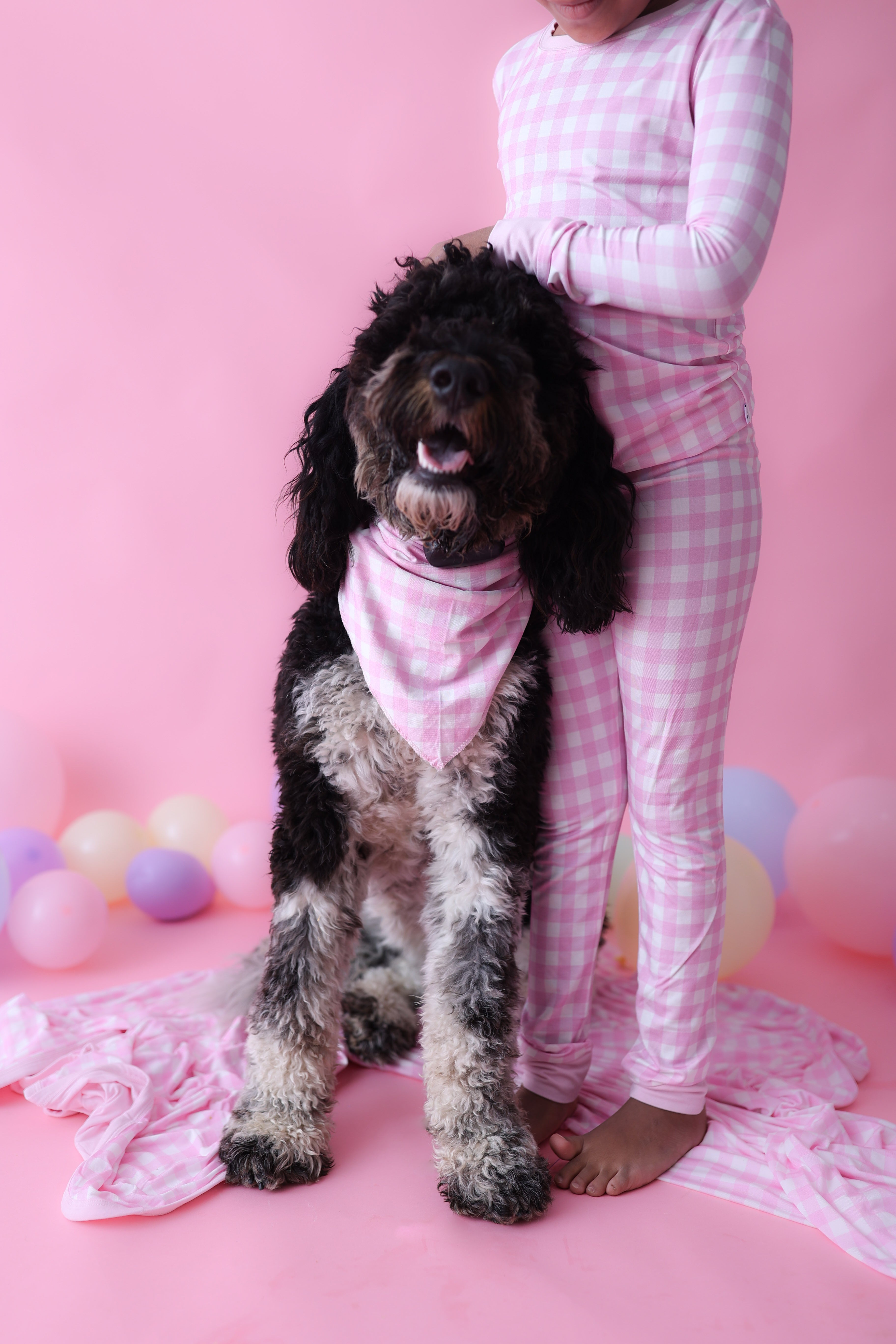 Taffy Pink Gingham Dream Dog Bandana