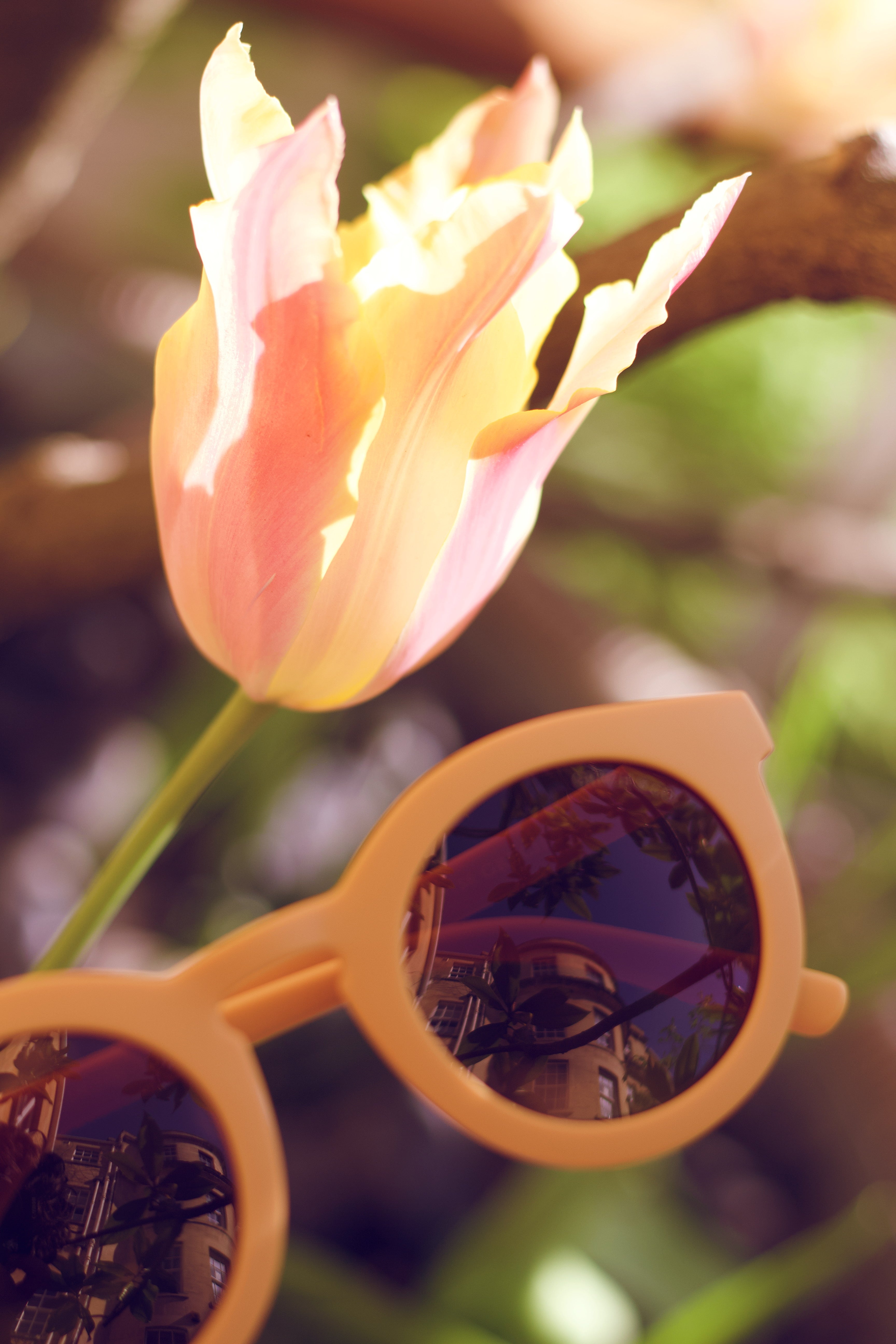 Classic | Sustainable Sunglasses | Plant-based Bendable Polarized - Child | 3-8 Y