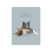 Ain't Easy Bein' Purrfect