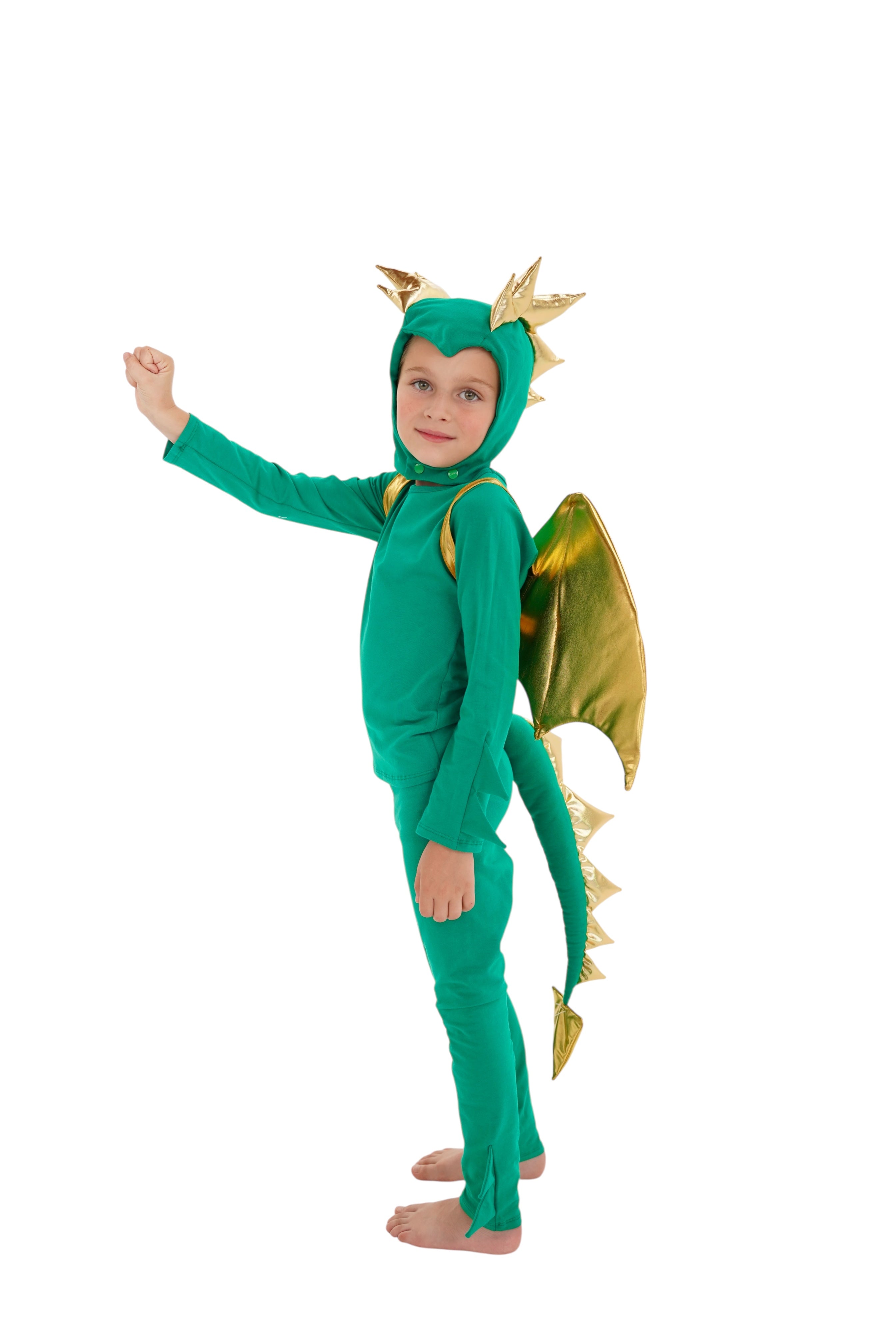 Emerald Sky Dragon Pajama Costume