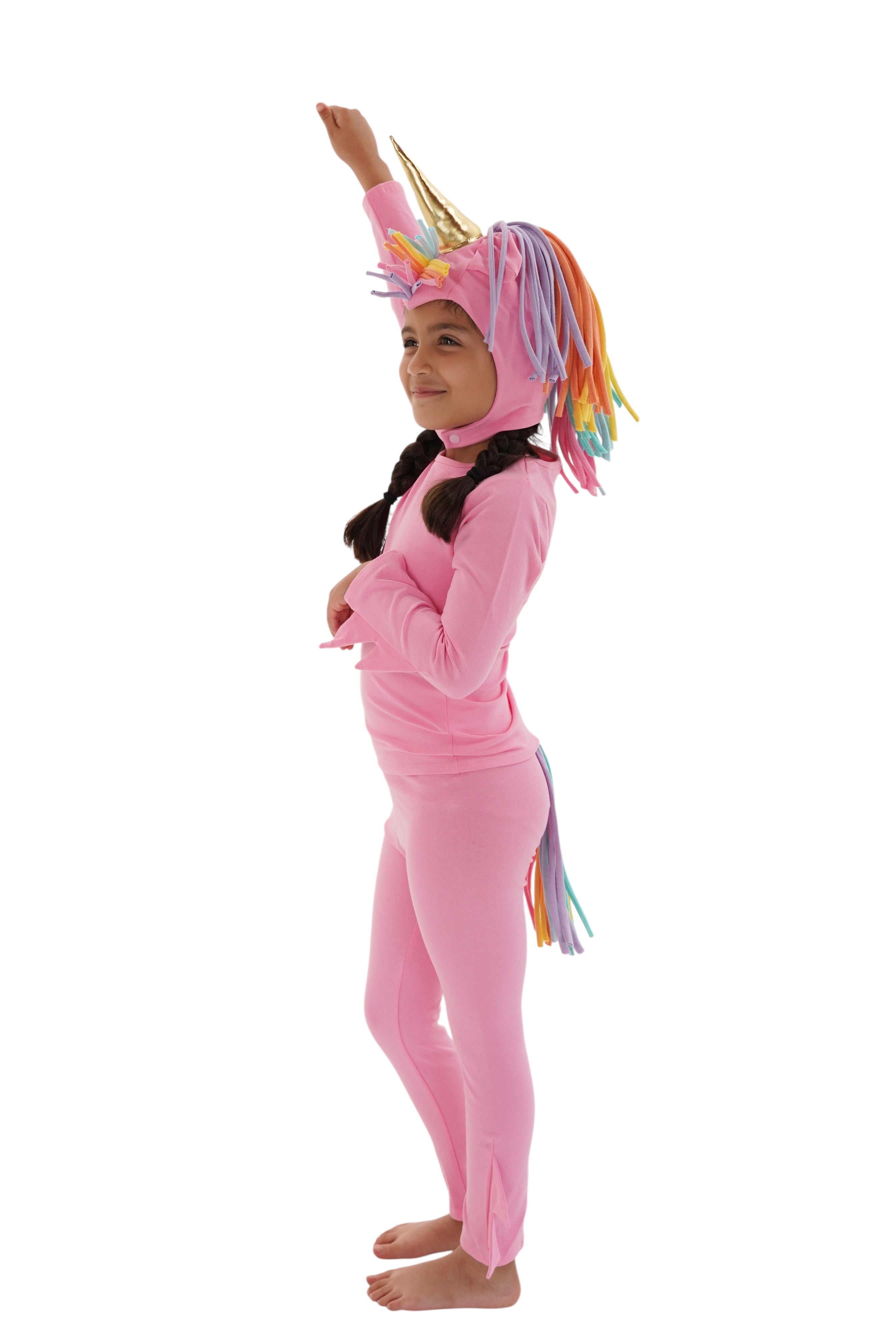Pink Stardancer Unicorn