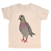 Pigeon