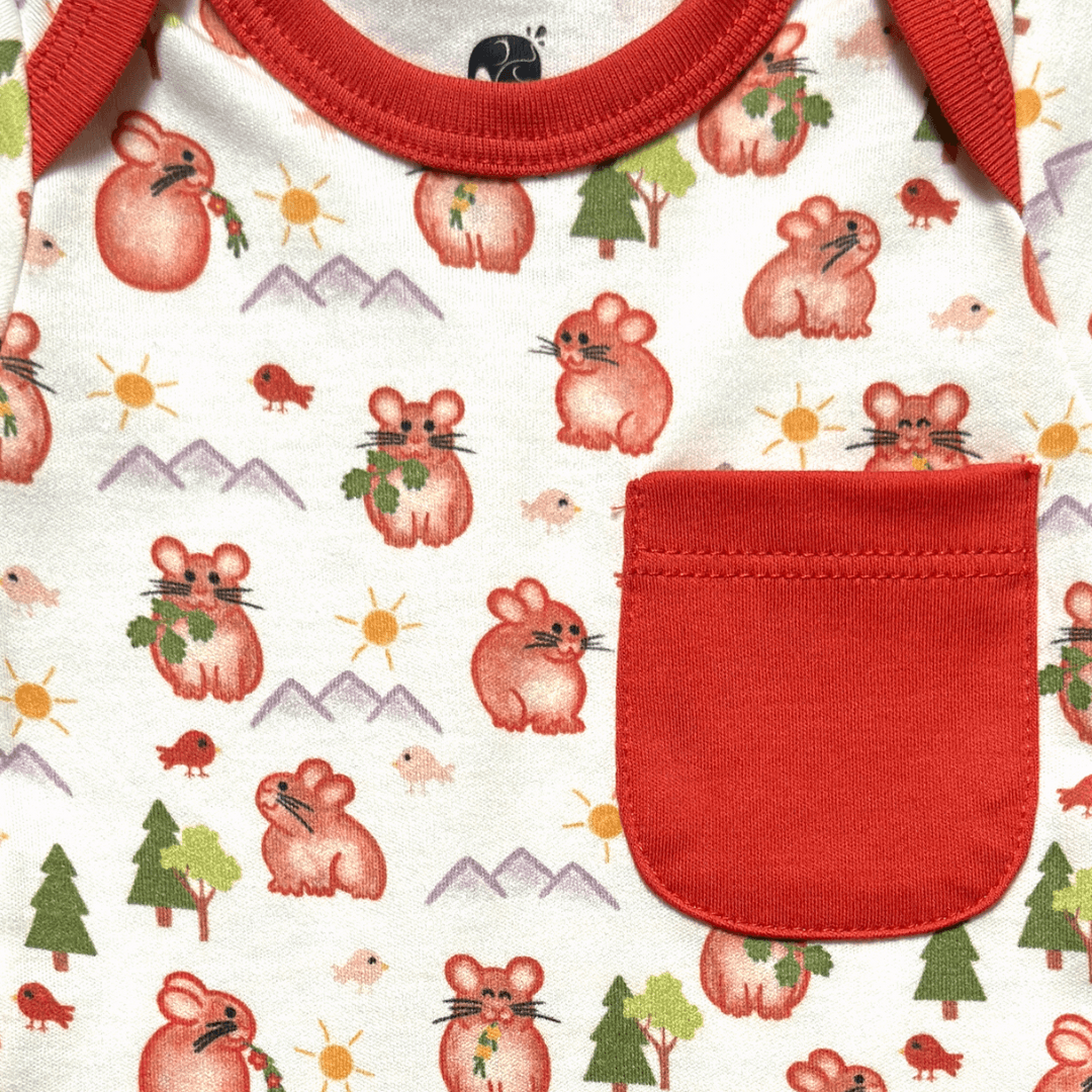 Pika Bodysuit And Shorts | Organic Pima Cotton