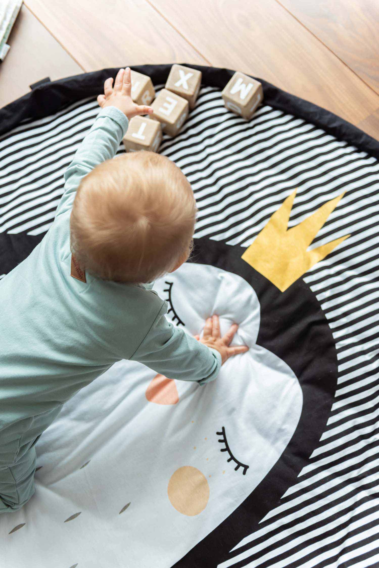 Penguin Baby Playmat - Bag