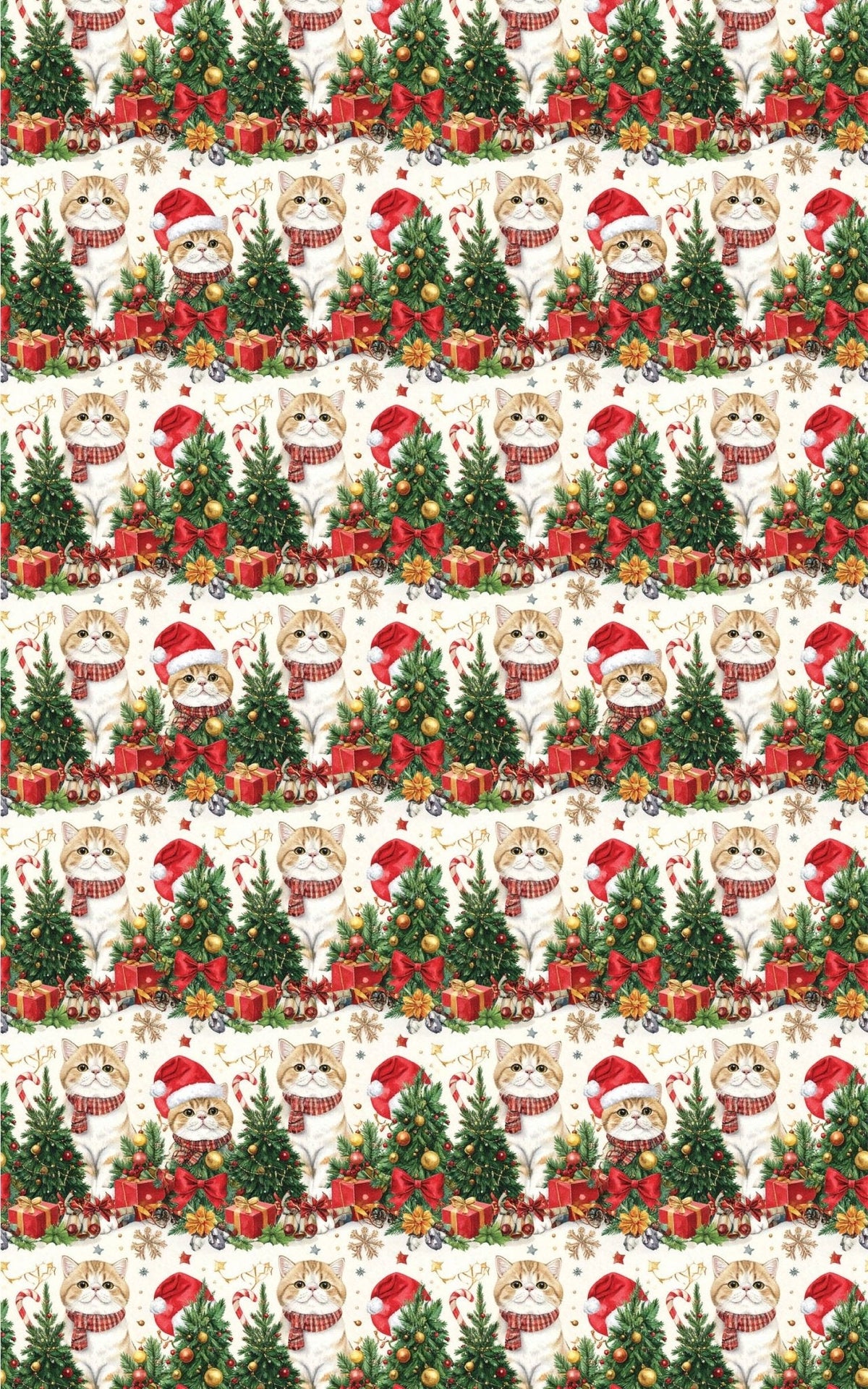 Holiday Exotic Shorthairs Wrapping Paper