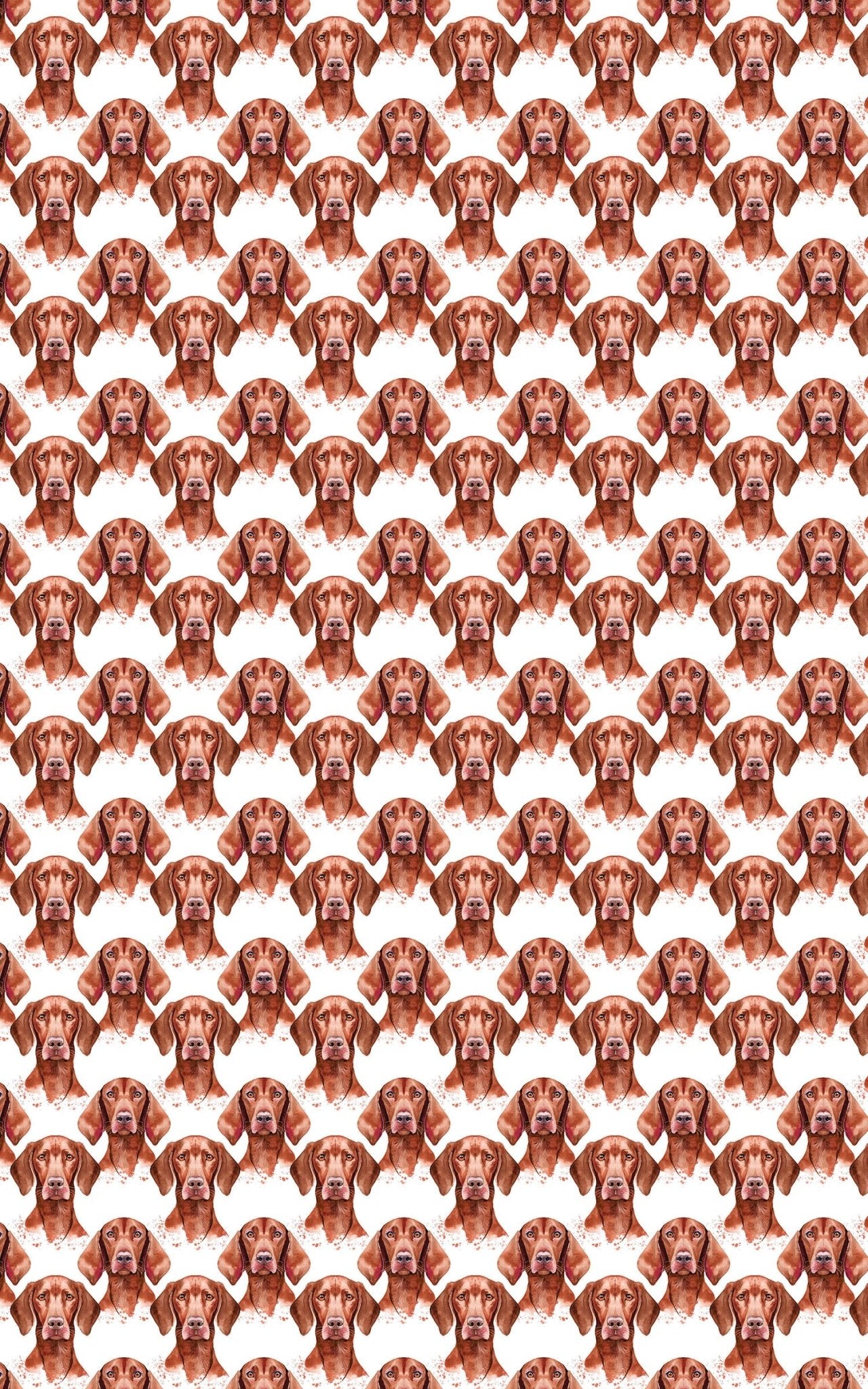 Velvet Vizsla