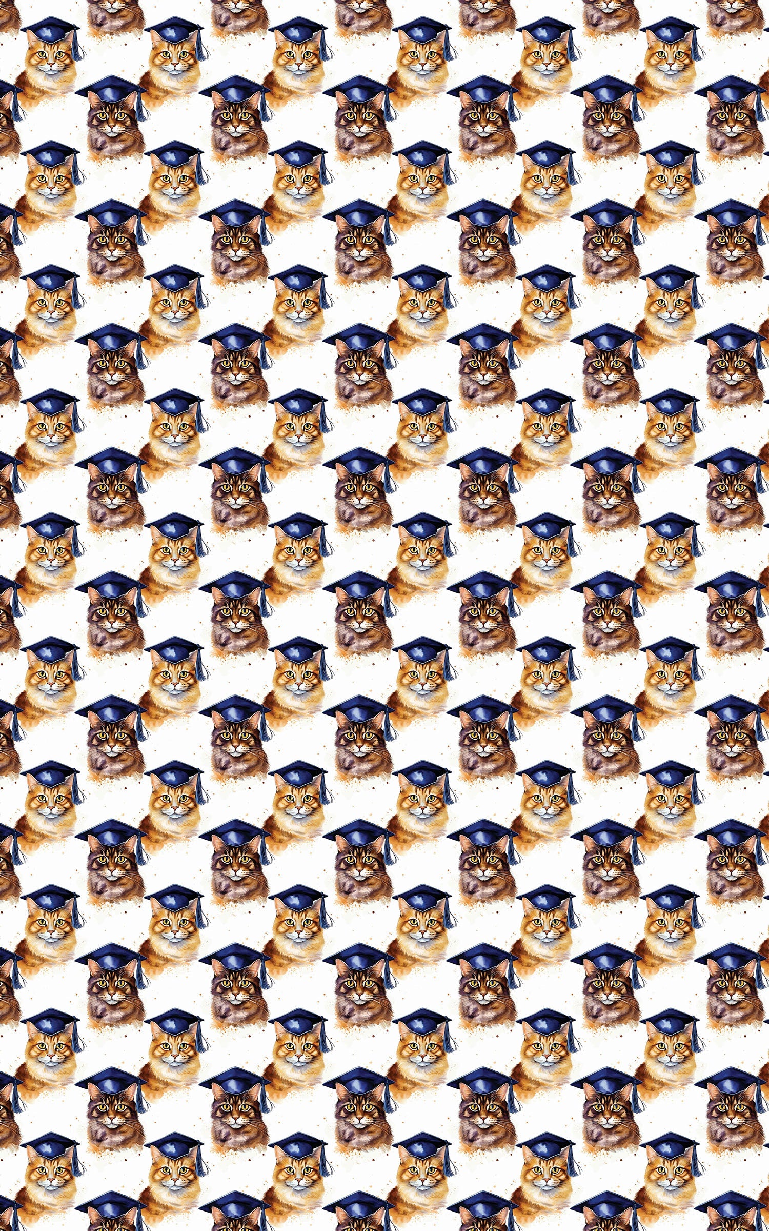 The Academic Catwalk