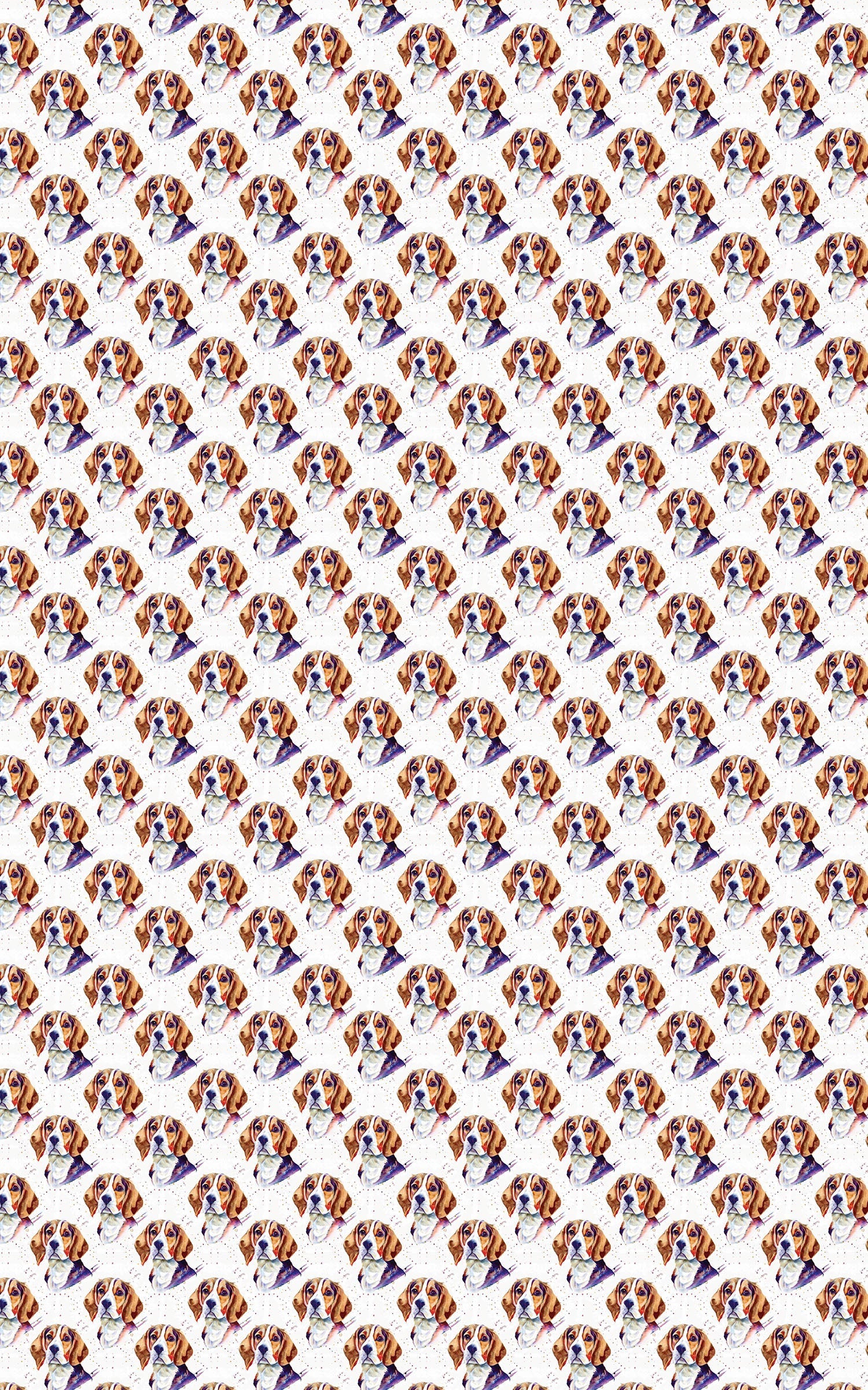 Beagle Bounce
