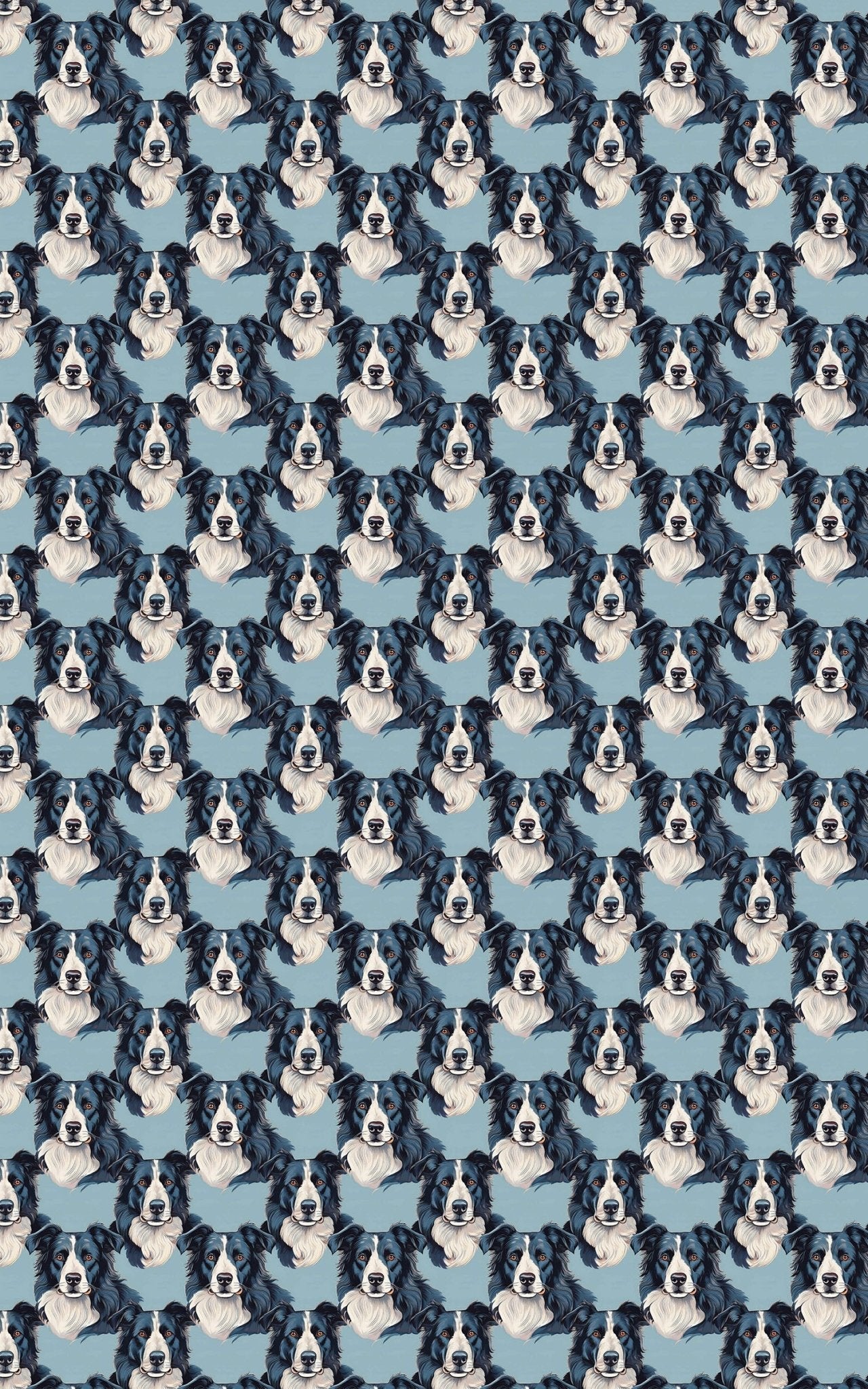 The Border Collie Look