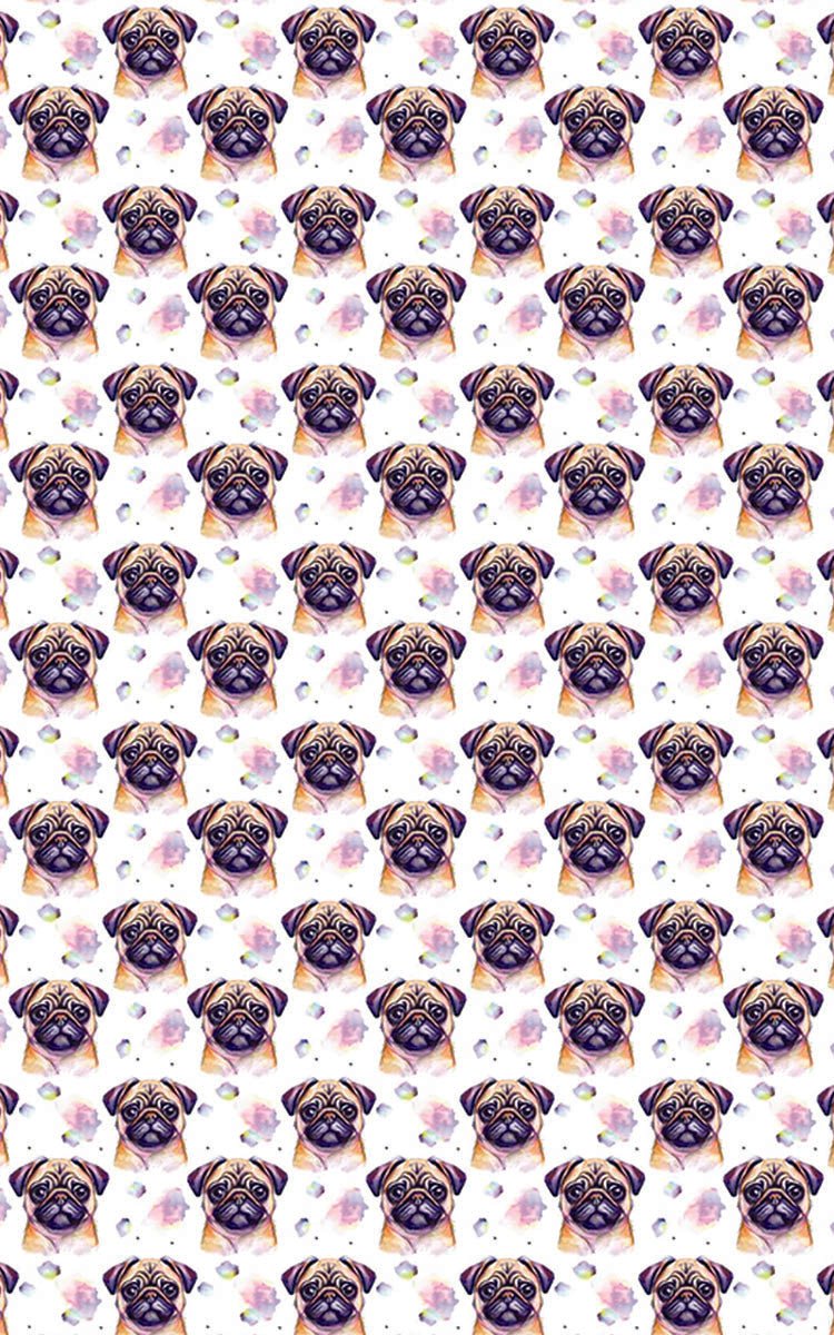 Pugs & Hugs