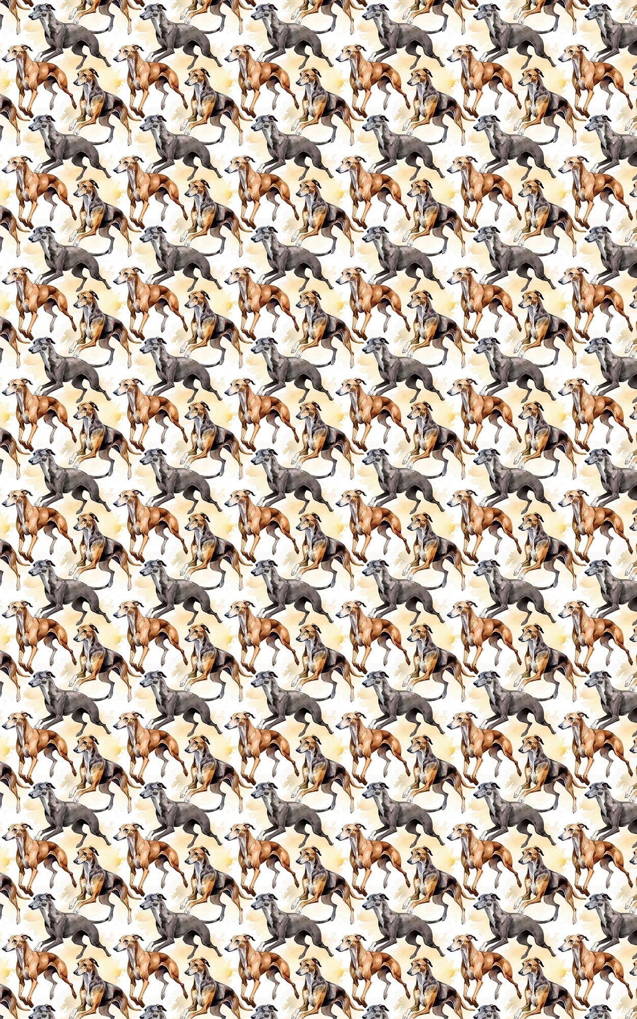 Speed & Grace – Greyhound