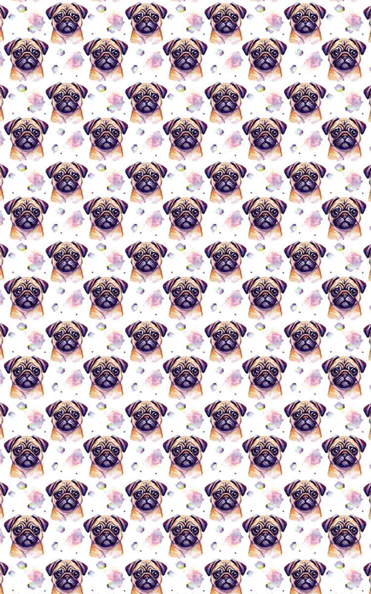 Pugs & Hugs