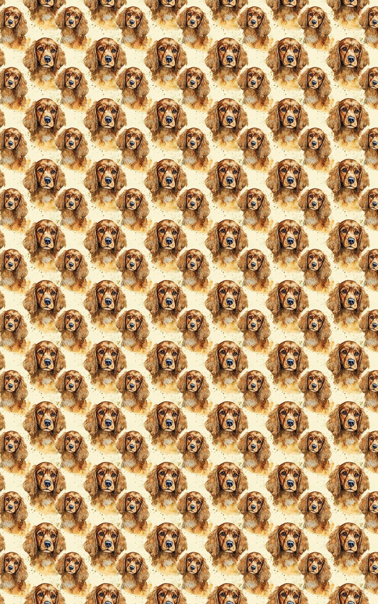 The Gentle Spaniel