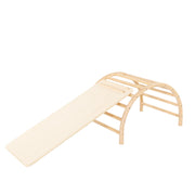 Play Gym Slide