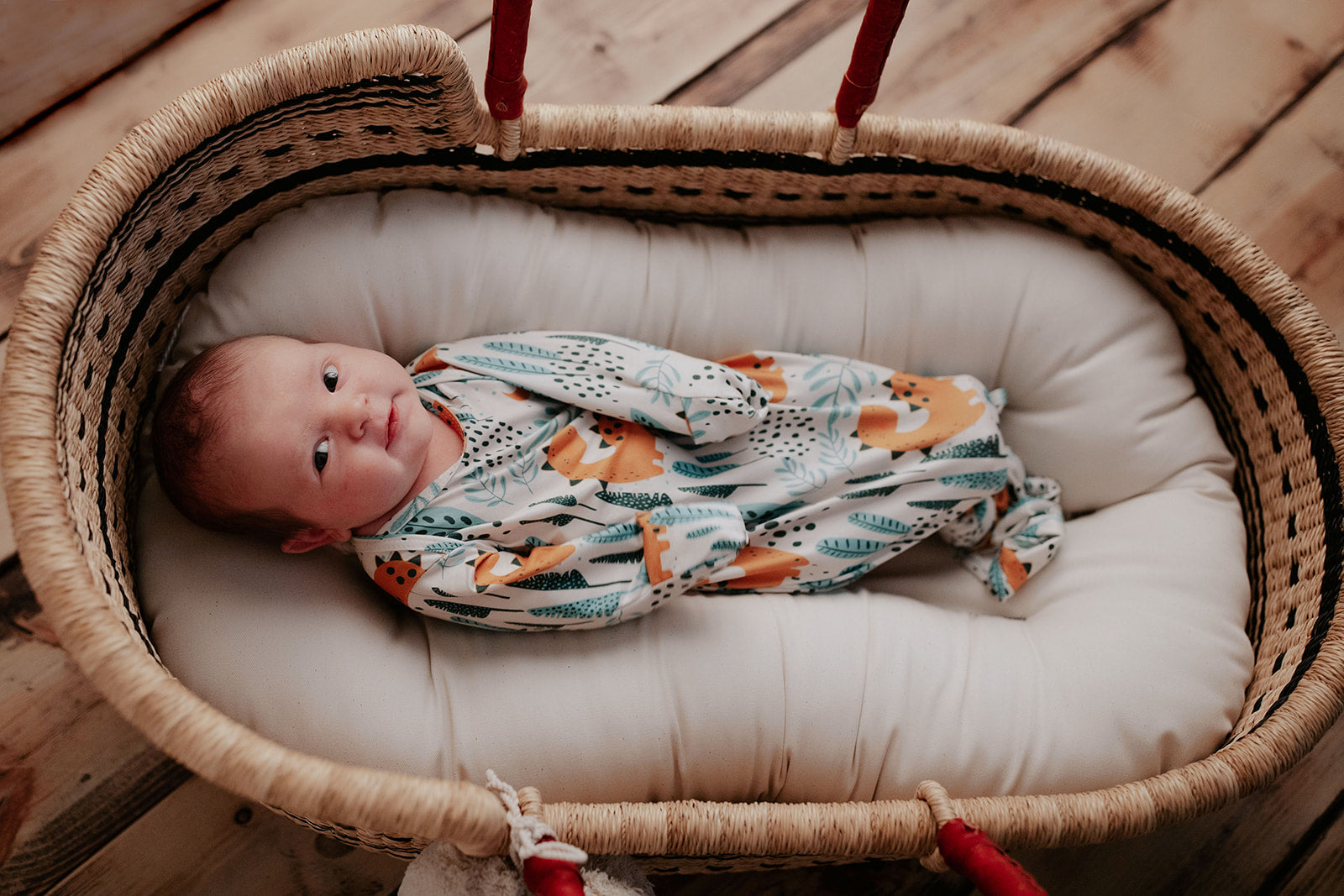 Dinosaur Themed Newborn Knotted Gown