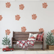 Poinsettia