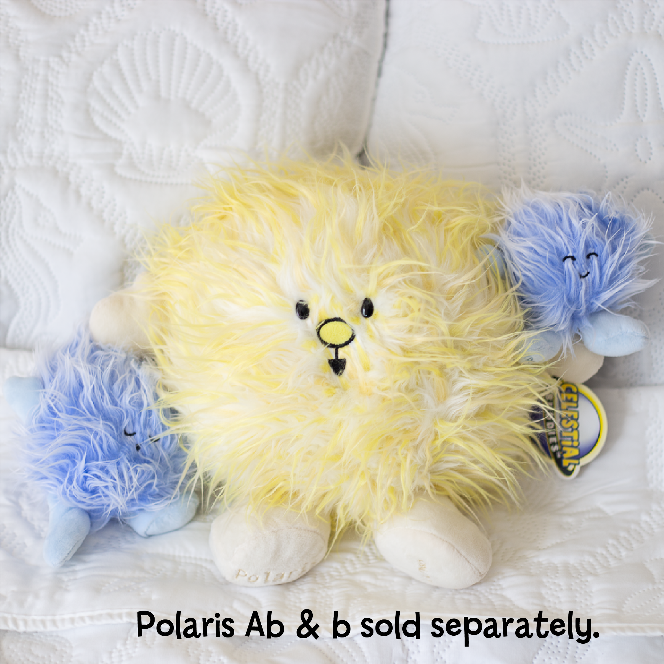 Polaris Buddy (north Star)
