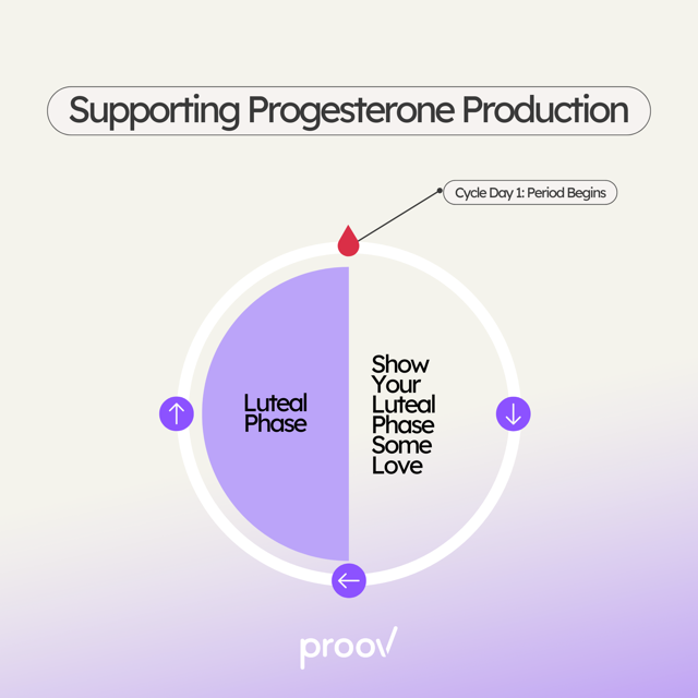 Pro Implantation Supplement Support