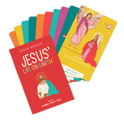 Bible Basics: Jesus's Life On Earth (new Testament Part I)
