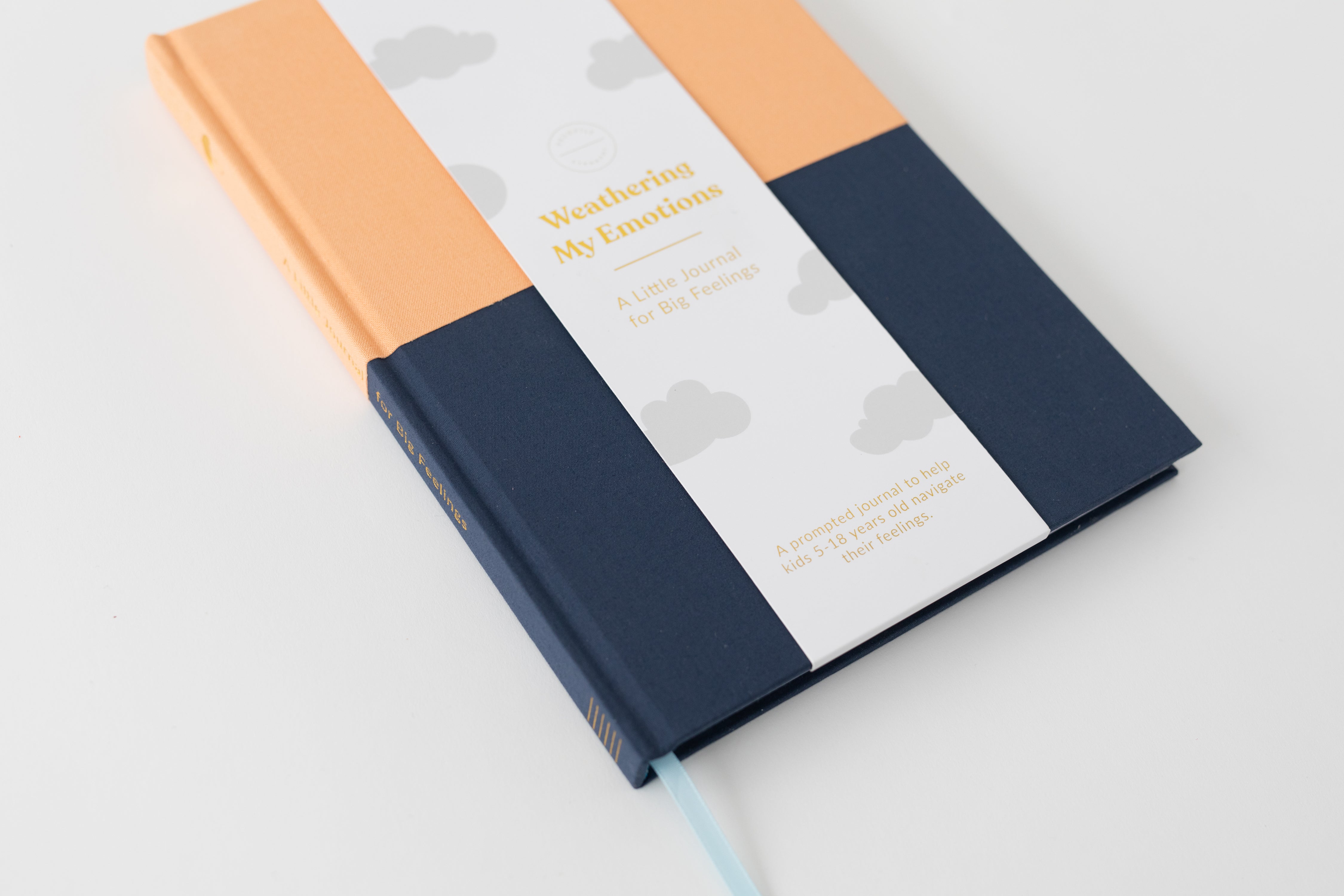 My Big Feelings Journal: Discovering and Mastering Emotions (Tangerine-Navy) by Promptly Journals