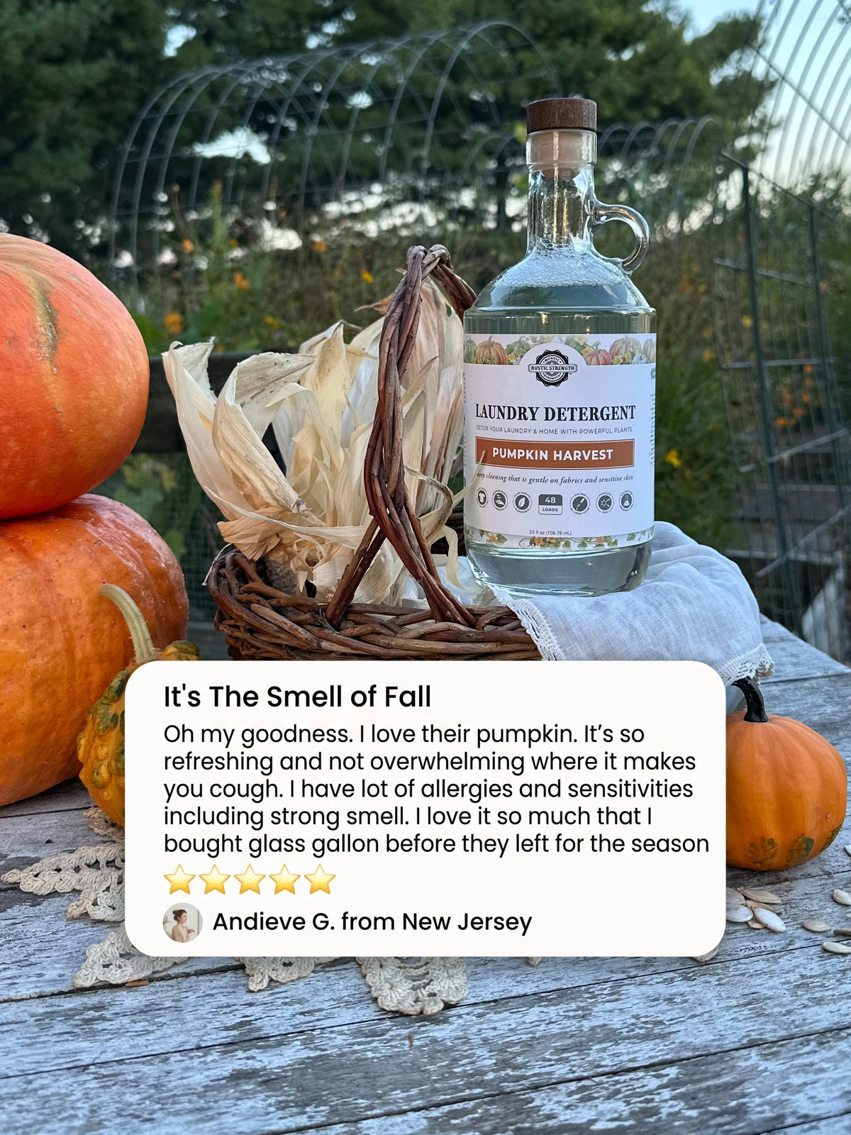 Laundry Detergent | Pumpkin Harvest