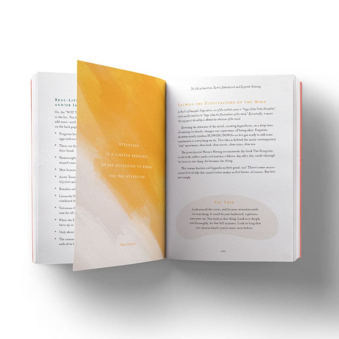 The Nine Gifts First Aid For Mind, Body And Spirit