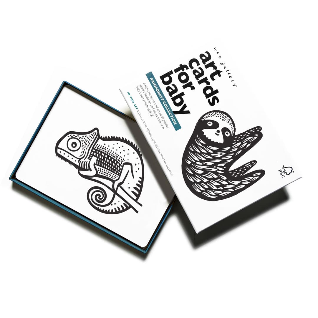 Art Cards For Baby - Rainforest Collection