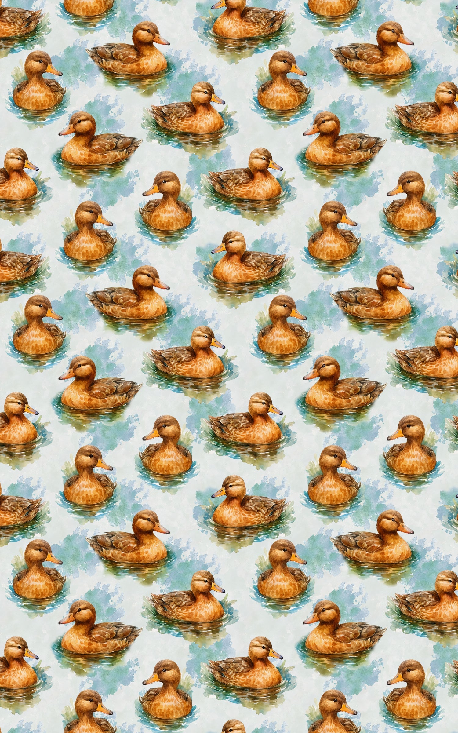 Ripples & Feathers