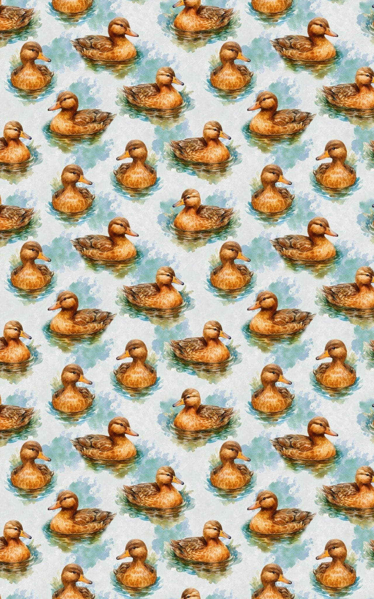 Ripples & Feathers