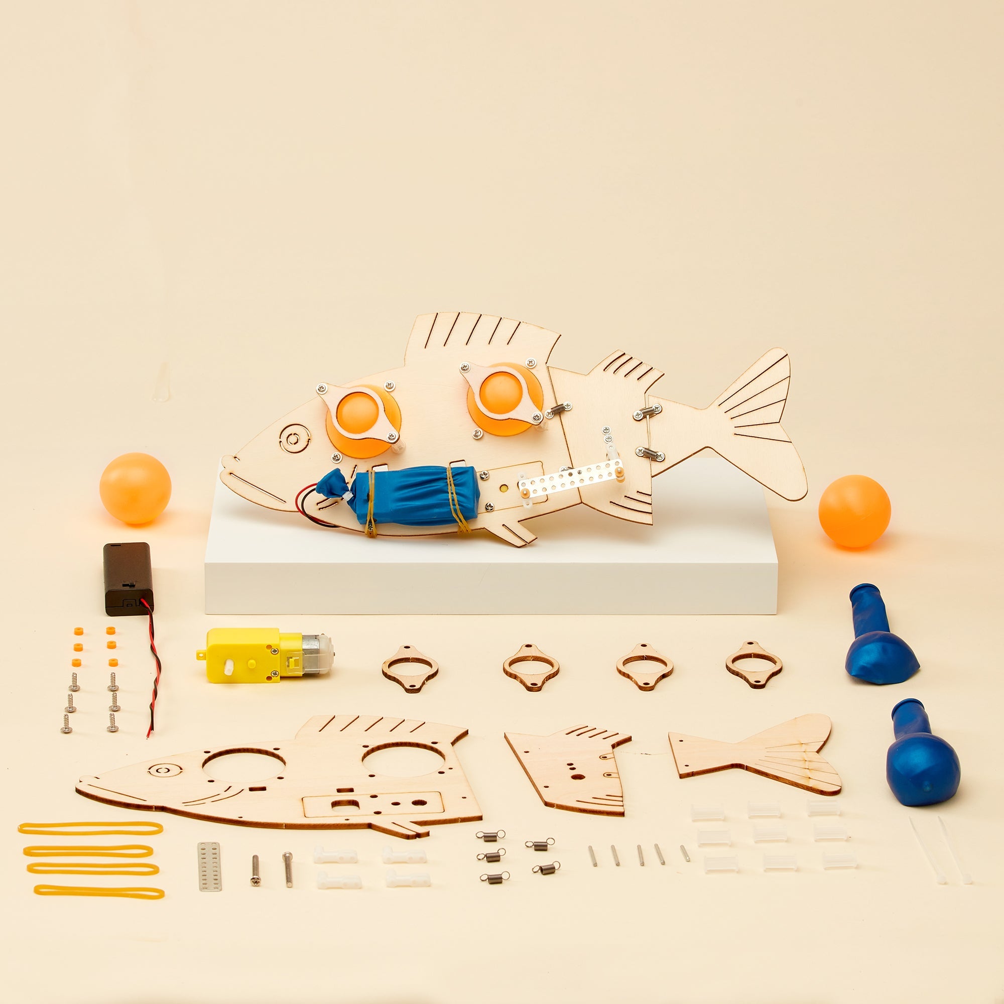 Fish Robot Diy Kit, Educational Stem Toy