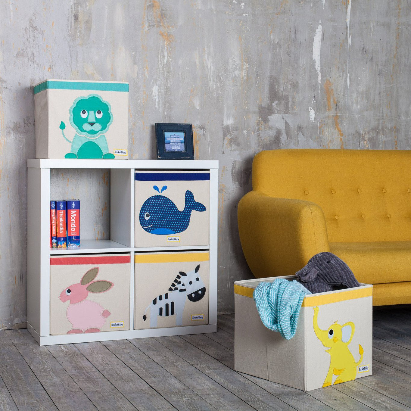 Storage Box Africa The Zebra