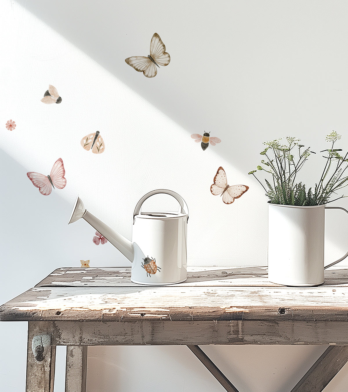 Coccinella - Wall Decals Murals - Butterflies And Insects