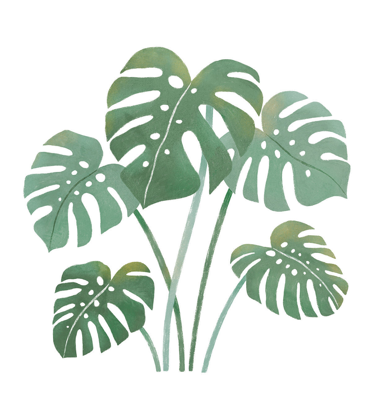 Yatsuni - Wall Decals Walls - Monstera Leaf