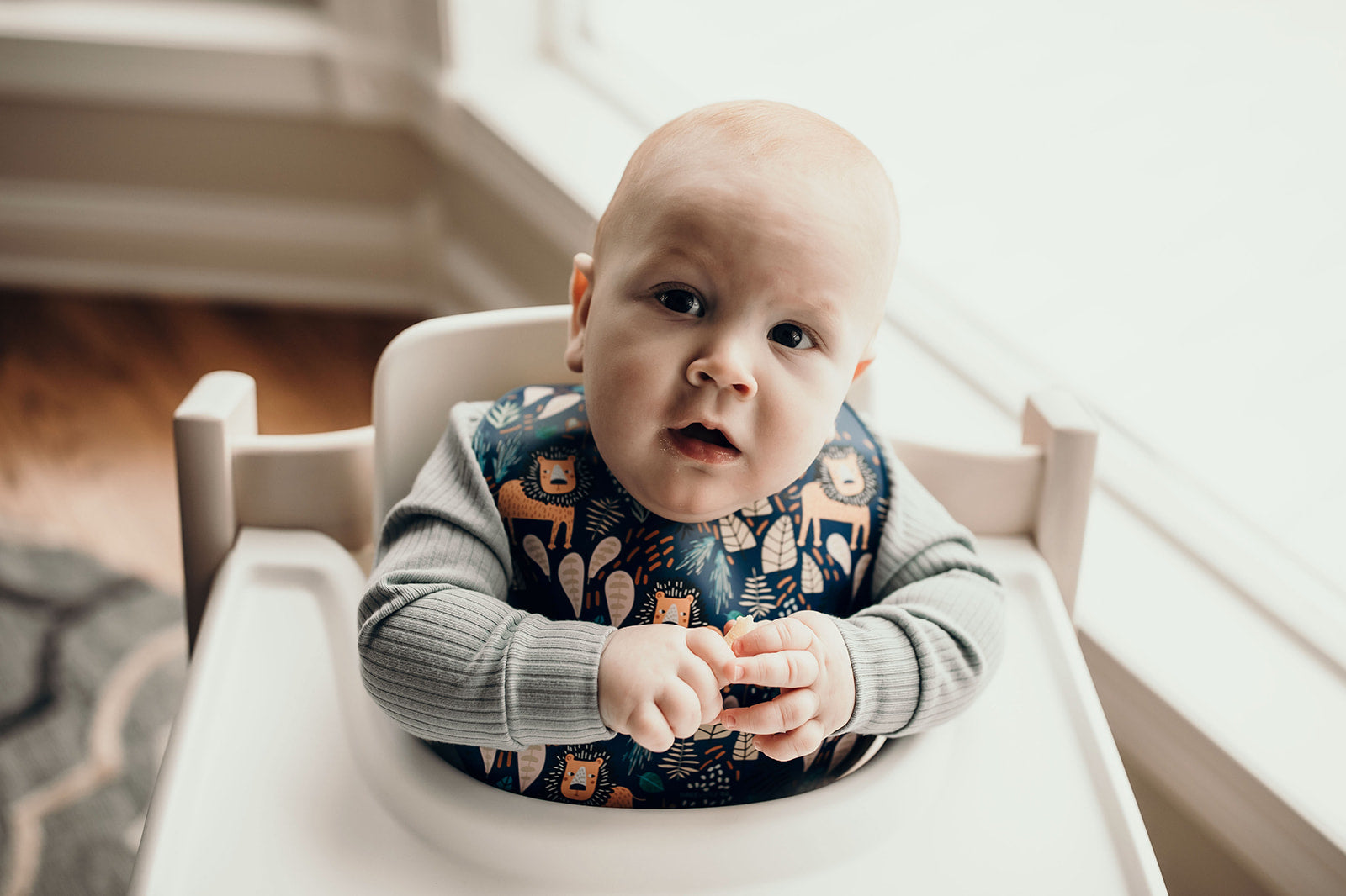 Lion Silicone Bib With Crumb Catcher