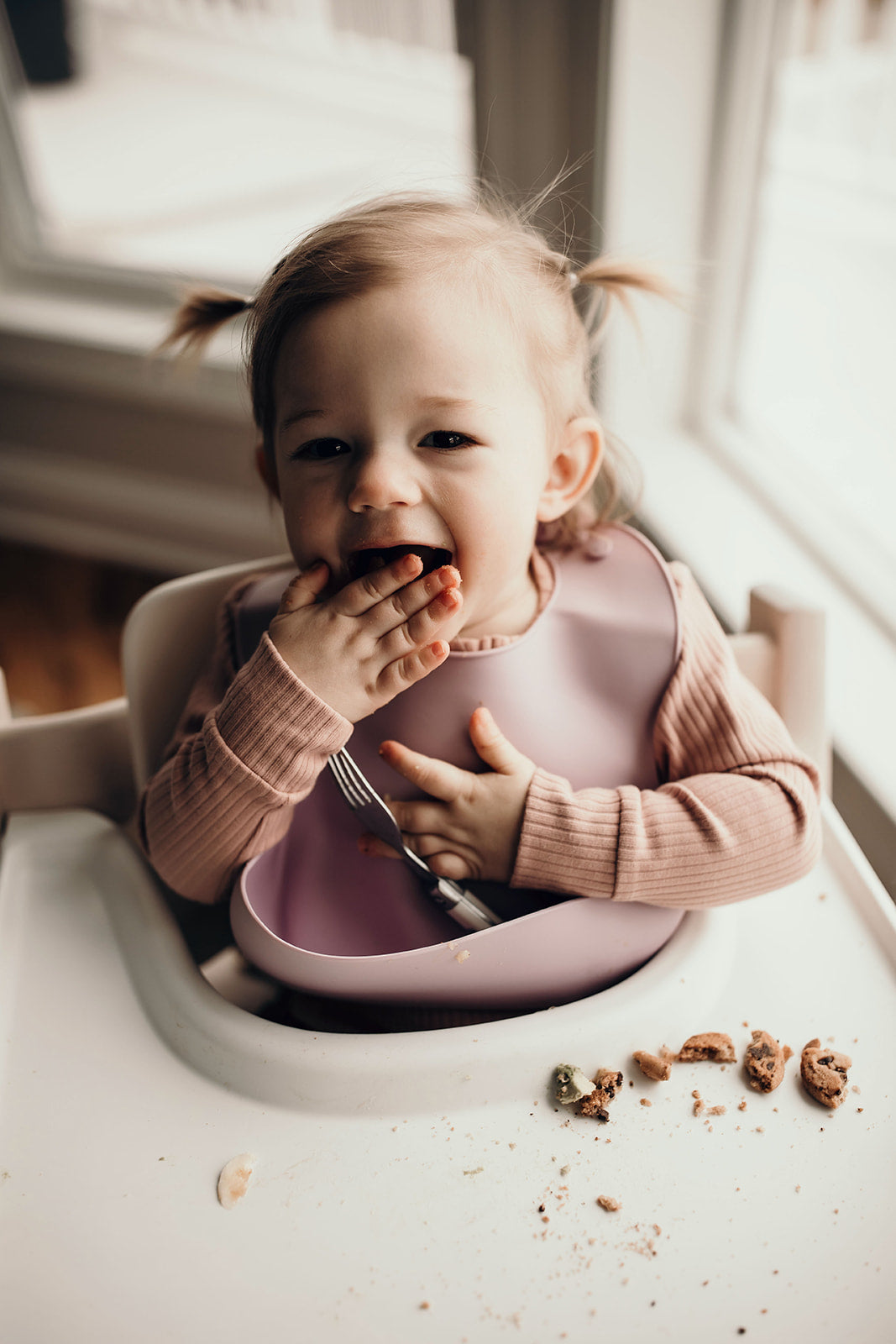 Lilac Silicone Bib With Crumb Catcher